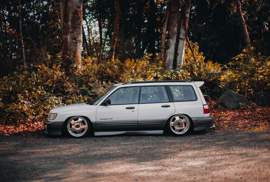 Cameron T's 2001 Forester Forester L 