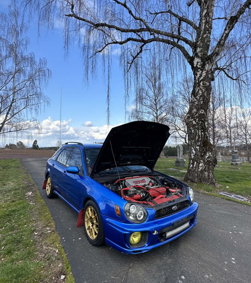 Elly Sullivan's 2002 Impreza WRX STI Sport Wagon