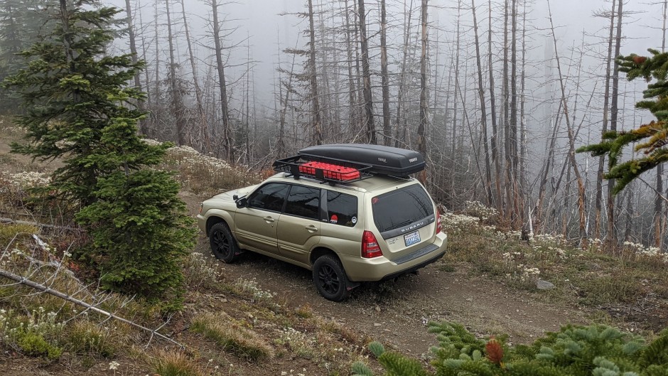 David  N's 2004 Forester XT 