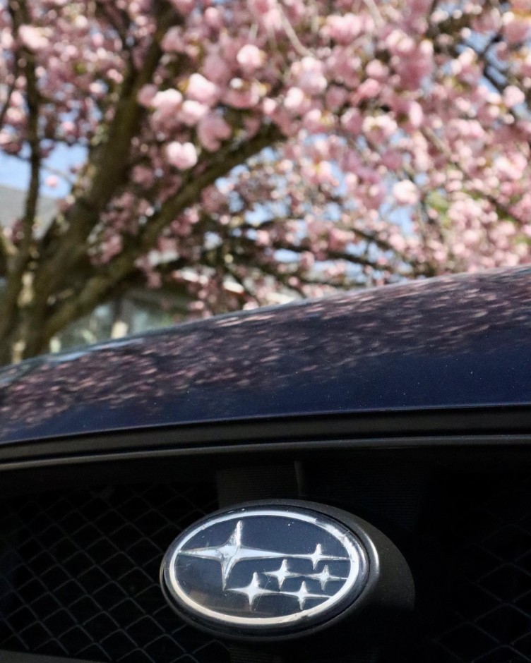 Briana Ramos's 2005 Impreza 2.5 RS