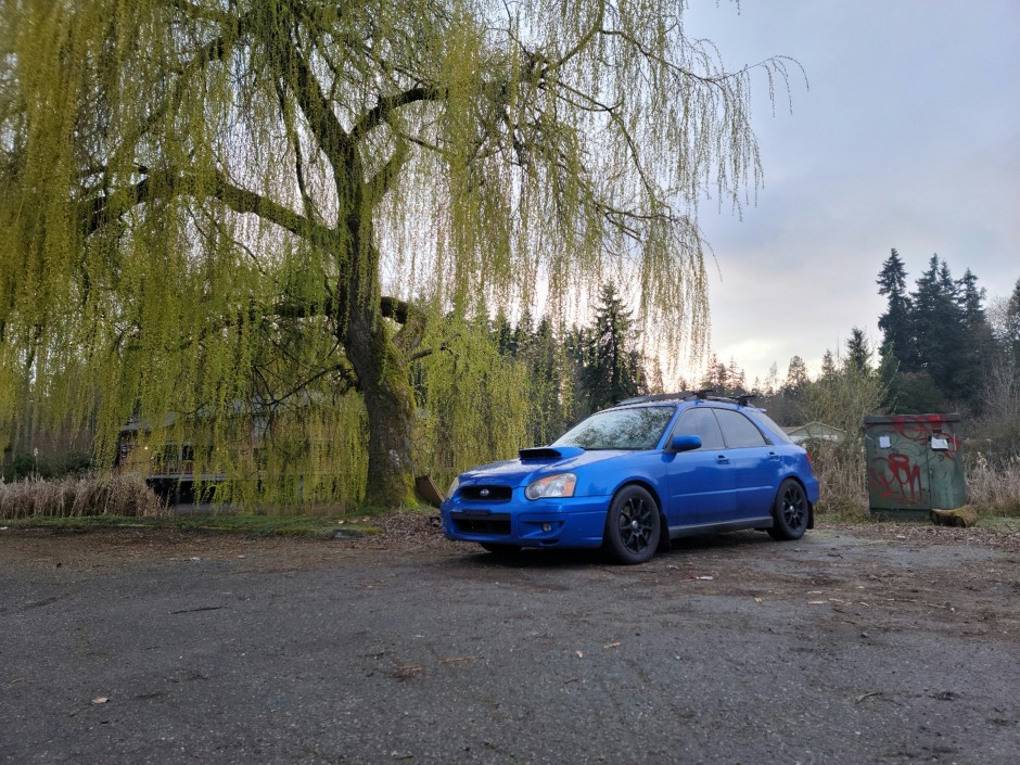 Matthew Holmberg's 2004 Impreza WRX Wagon