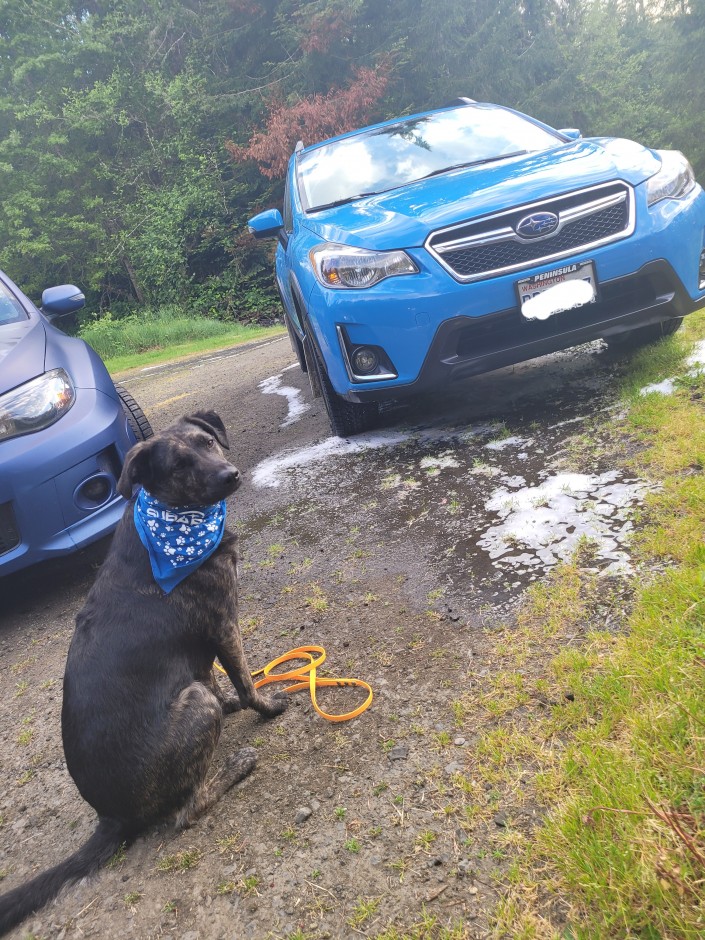 Tali S's 2016 Crosstrek Limited