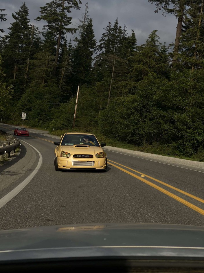 Johan Hernandez's 2005 Impreza WRX STI 