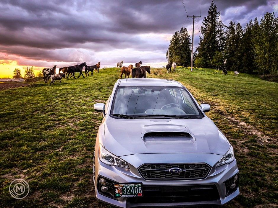 Jacob M's 2021 Impreza WRX Premium