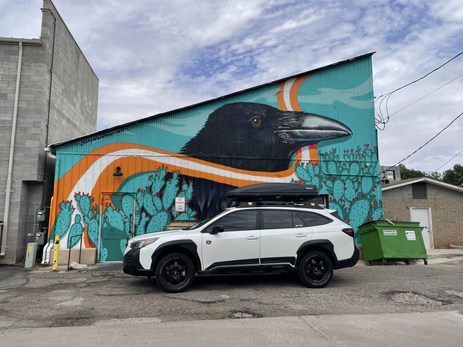 Michelle S's 2022 Outback Wilderness