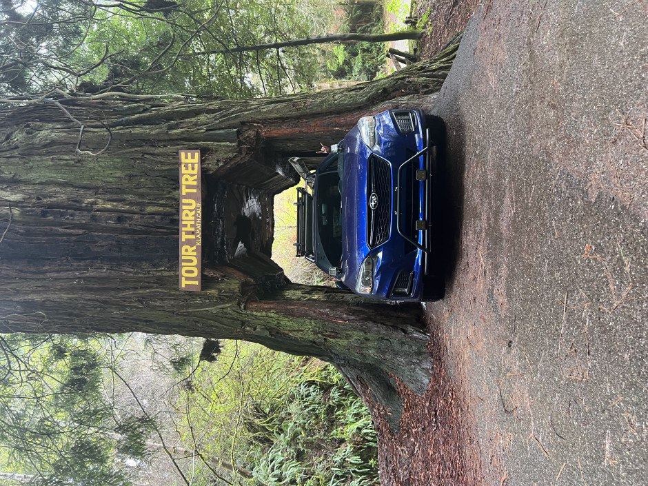 David N's 2017 Impreza Sport