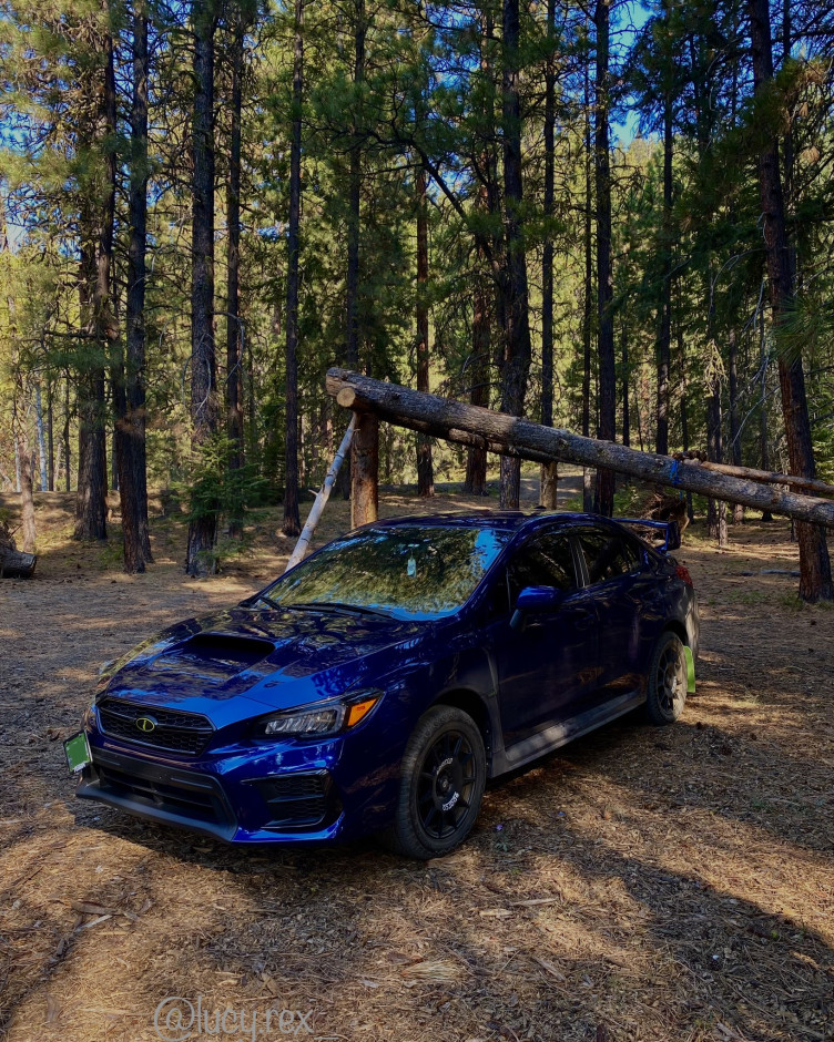Gustavo Alfaro Morales's 2020 Impreza WRX Base