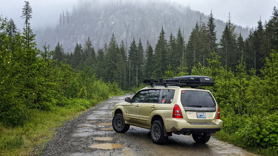 David  N's 2004 Forester 2.5 XT 