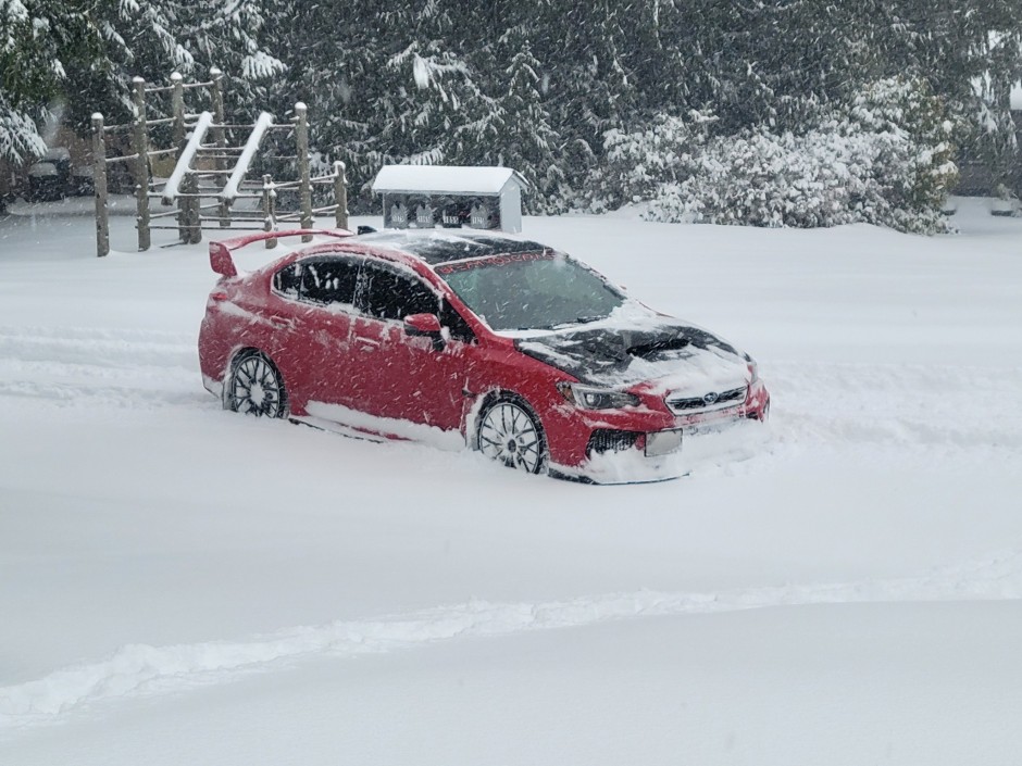 Brandon  Moore's 2018 Impreza WRX STI Base