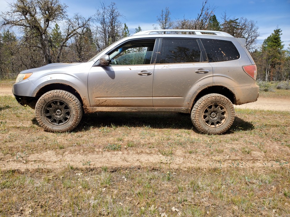 Rodney  Reed 's 2011 Forester XT Turing