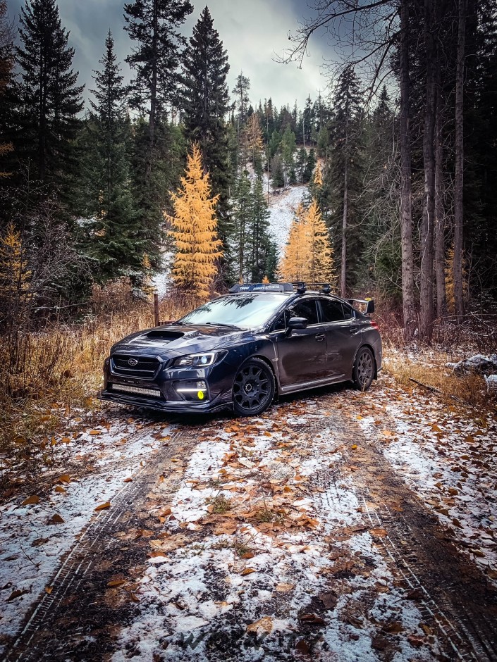 Tyler Hansen's 2015 Impreza WRX Premium 2.0L FA20