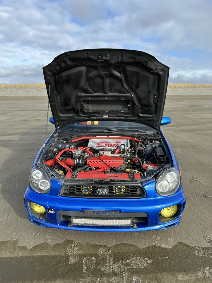 Elly Sullivan's 2002 Impreza WRX STI Sport Wagon
