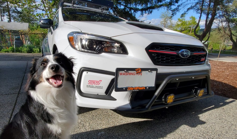 Carlon A's 2020 Impreza WRX STI Series White