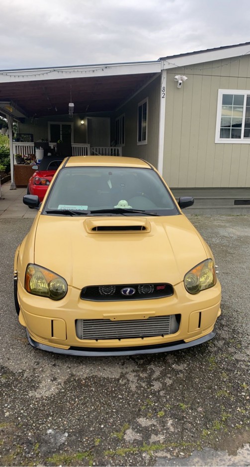 Johan Hernandez's 2005 Impreza WRX STI 