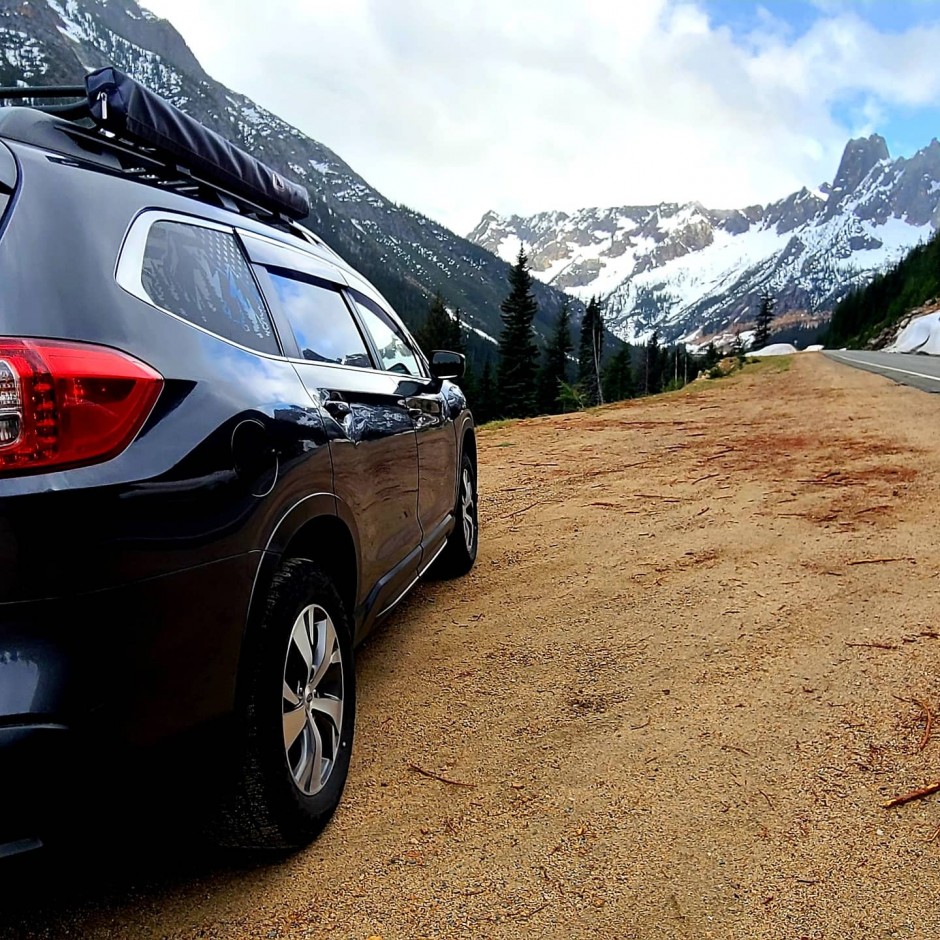 Melissa Shenefelt's 2019 Ascent Premium