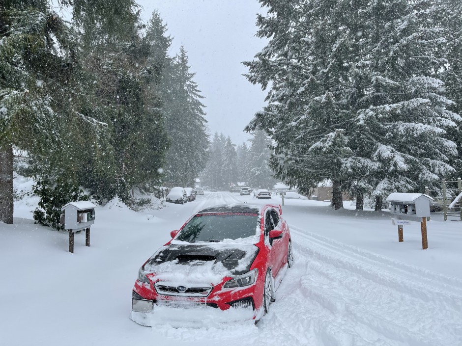 Brandon  Moore's 2018 Impreza WRX STI Base