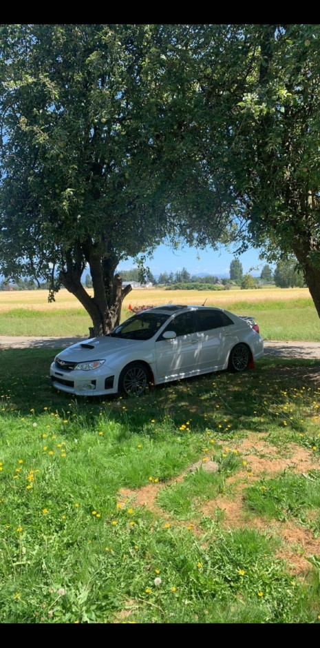 JOSE L's 2014 Impreza WRX PREMIUM