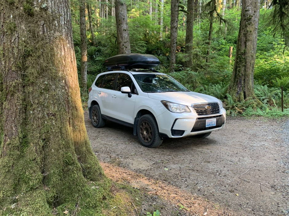 Kevin H's 2018 Forester XT
