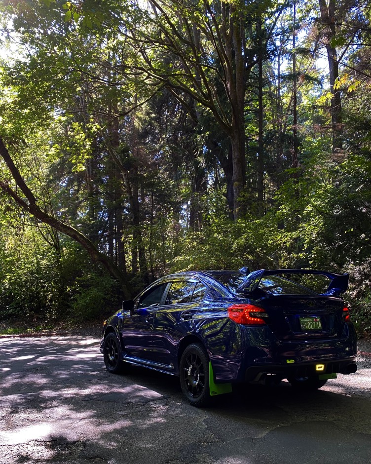 Gustavo Alfaro Morales's 2020 Impreza WRX Base