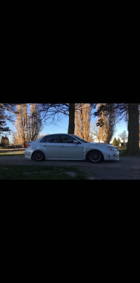 JOSE L's 2014 Impreza WRX PREMIUM