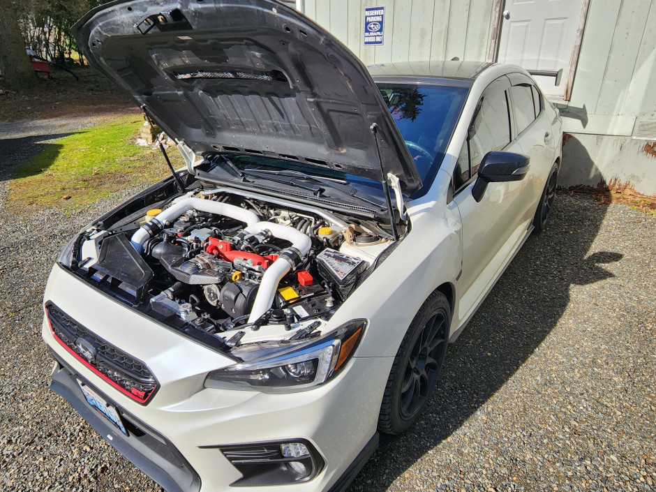 Roy H's 2018 Impreza WRX STI Type Ra #361