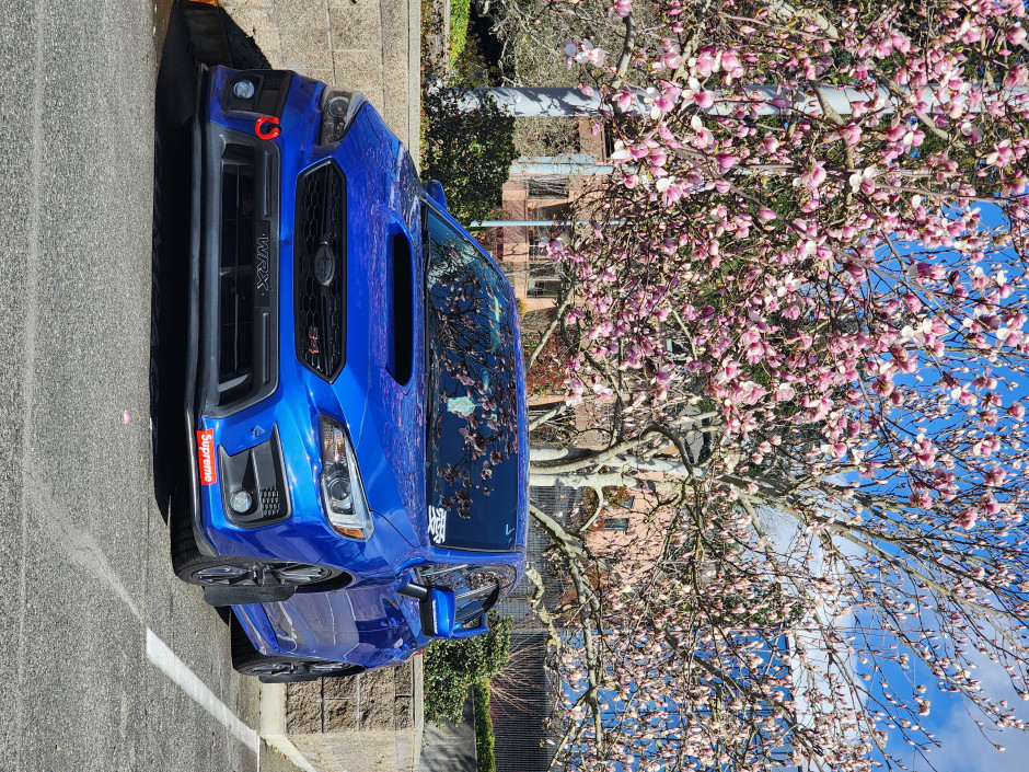 Ignacio G's 2019 Impreza WRX Limited 