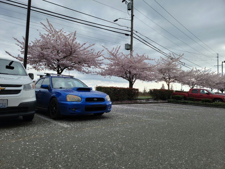 Matthew Holmberg's 2004 Impreza WRX Wagon