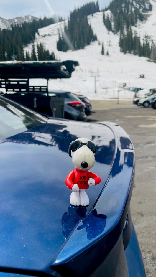 Thomas D's 2021 Impreza WRX Limited