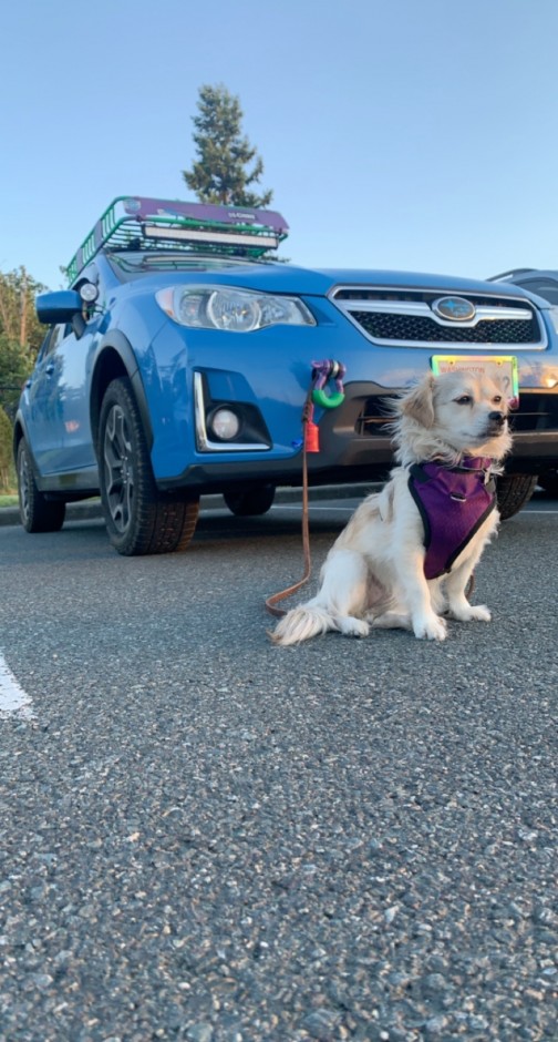 Jacob Crittenden's 2017 Crosstrek Premium