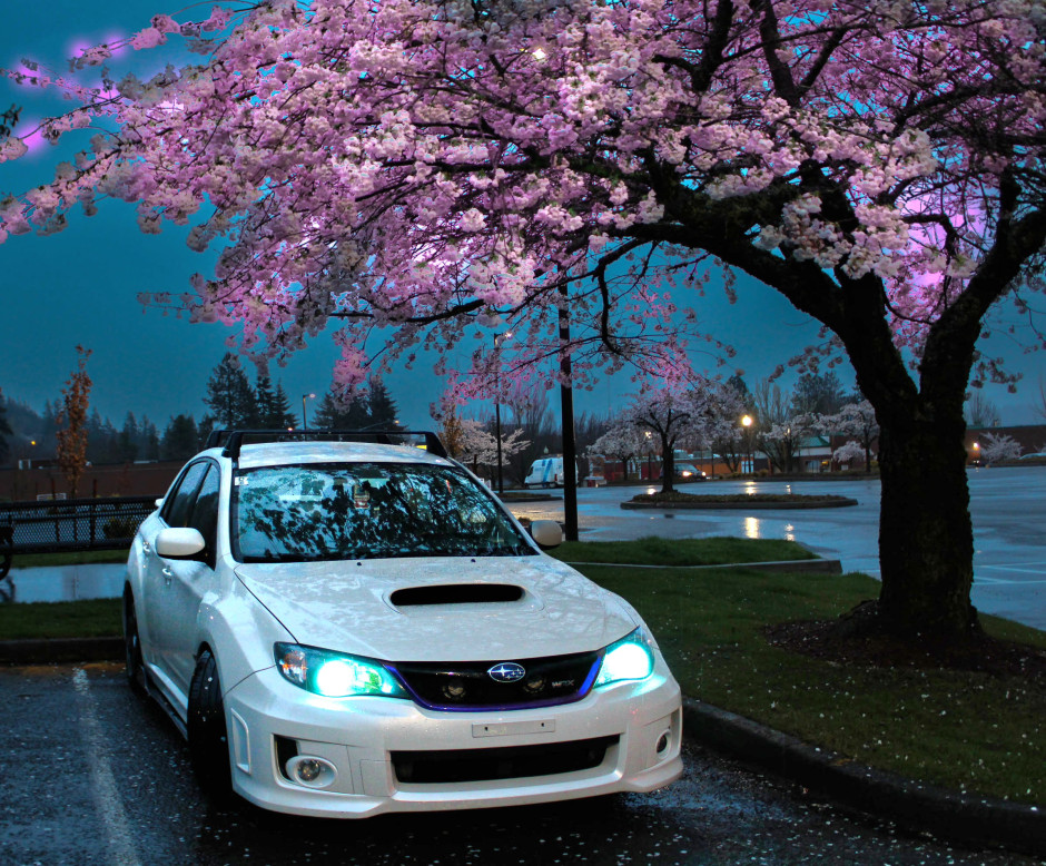 Robert Fritsche's 2012 Impreza WRX Limited