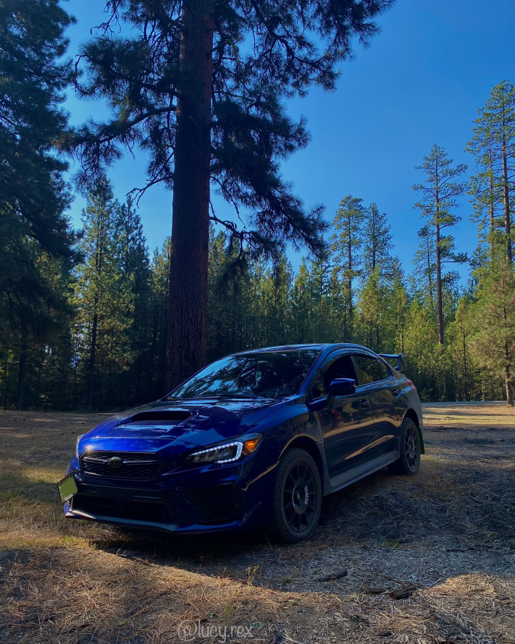 Gustavo Alfaro Morales's 2020 Impreza WRX Base