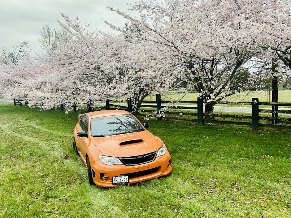 Jeff K's 2022 Impreza Special Edition