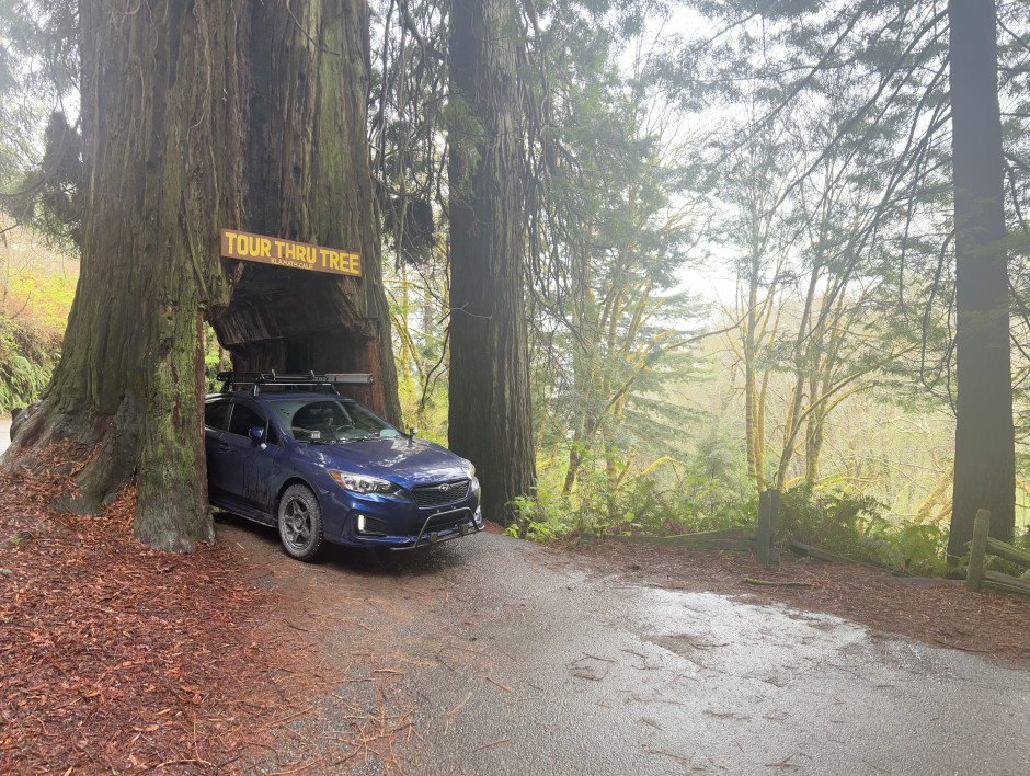 David N's 2017 Impreza Sport