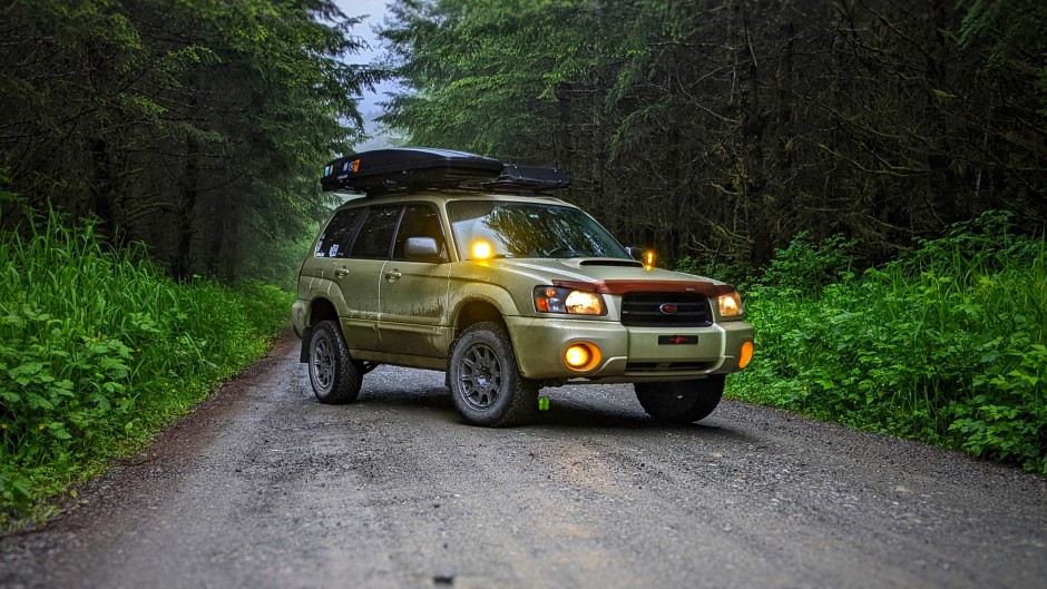 David  N's 2004 Forester XT 
