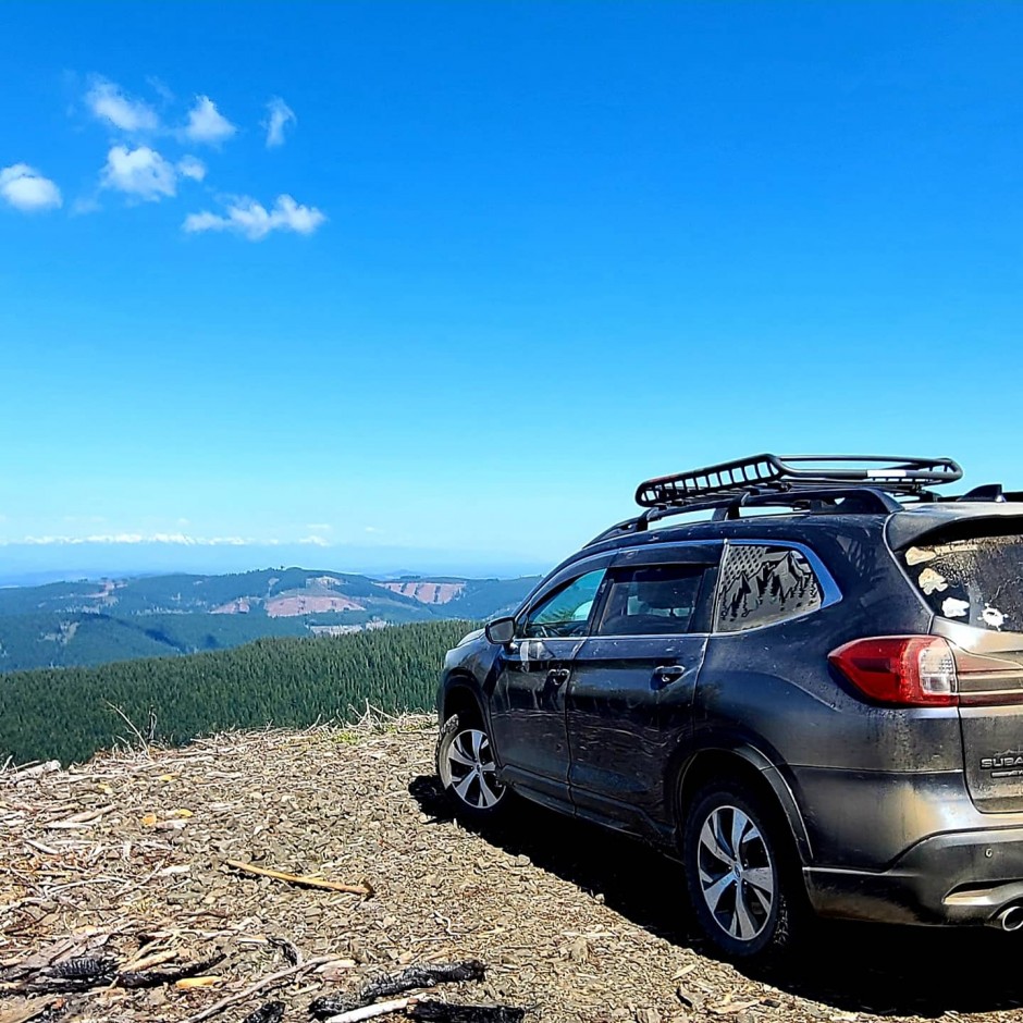Melissa Shenefelt's 2019 Ascent Premium