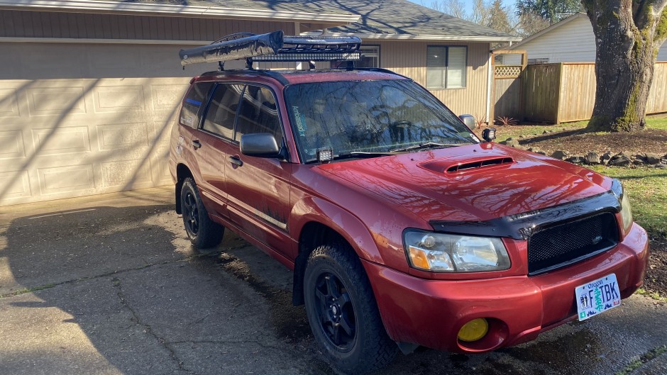 John Morley's 2004 Forester 2.5XS