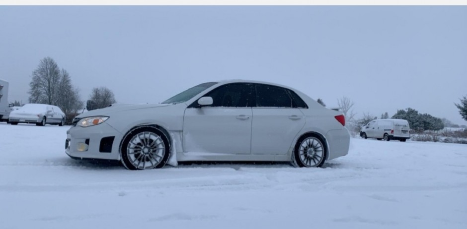 JOSE L's 2014 Impreza WRX PREMIUM