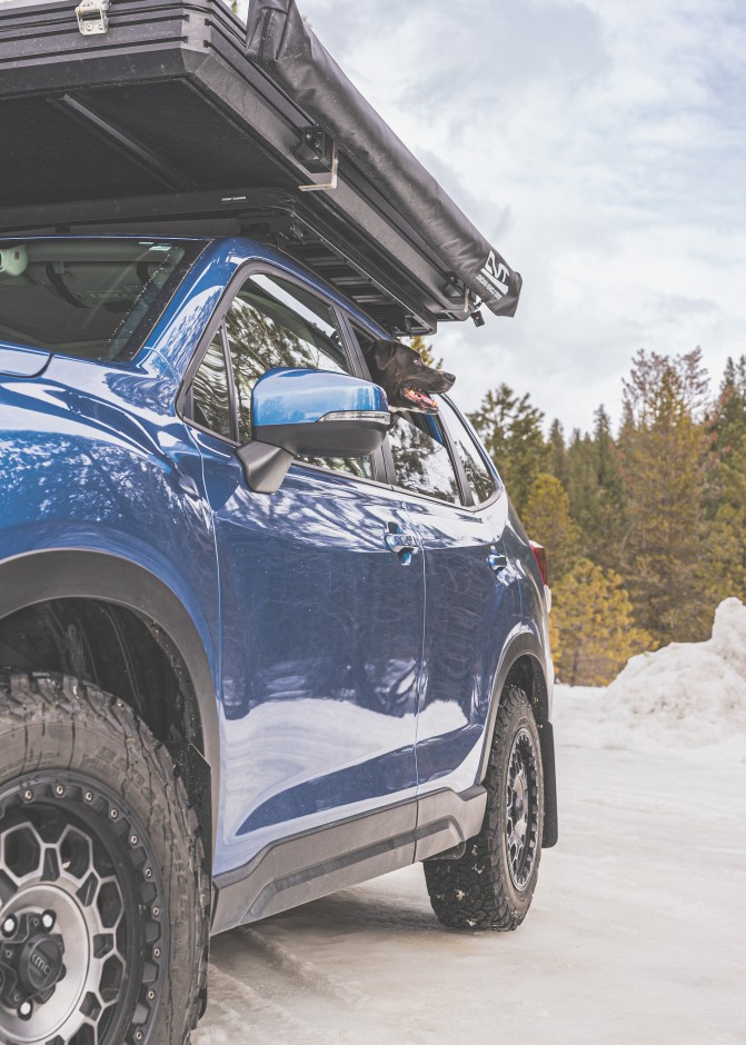 Chris Bentley's 2020 Forester Limited