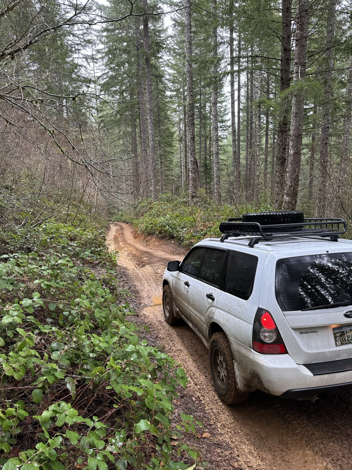 Alex A's 2008 Forester 10th Anniversary
