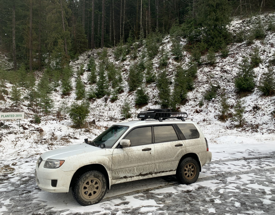 Alex A's 2008 Forester 10th Anniversary