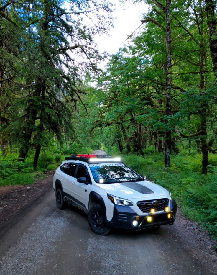 Kimberly  D's 2022 Outback Wilderness